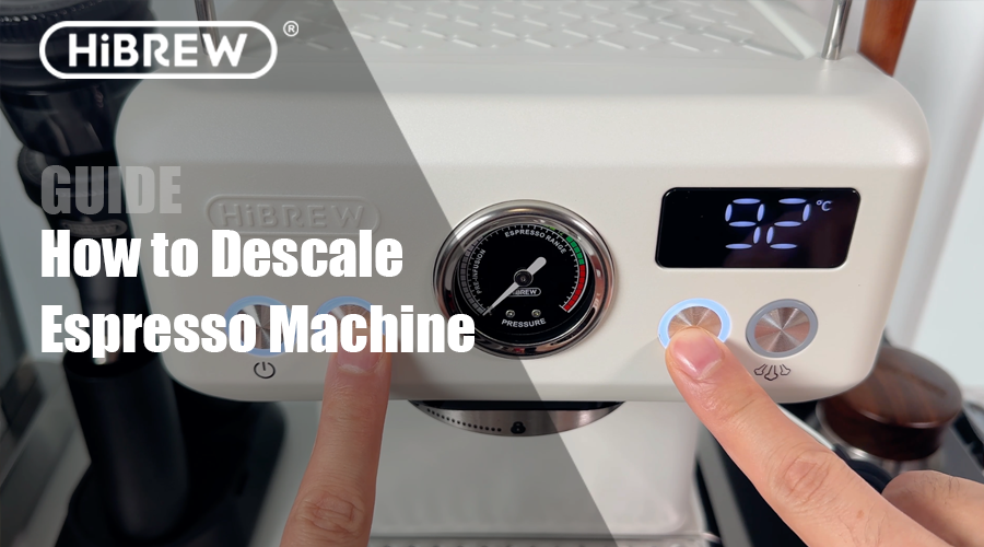 How to Descale an Espresso Machine - Step by Step Guide