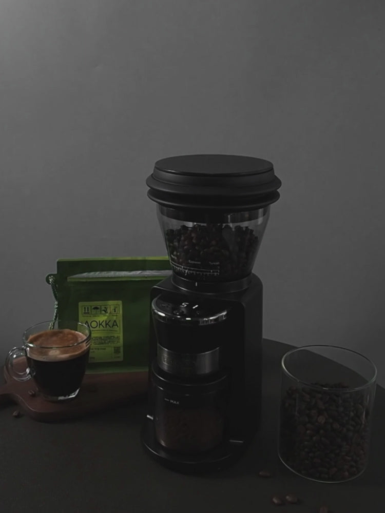 HiBREW Automatic Burr Mill Electric Coffee Grinder with 31 Gears G3 preview